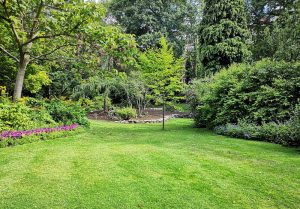 Optimiser l'expérience du jardin à Belles-Forets